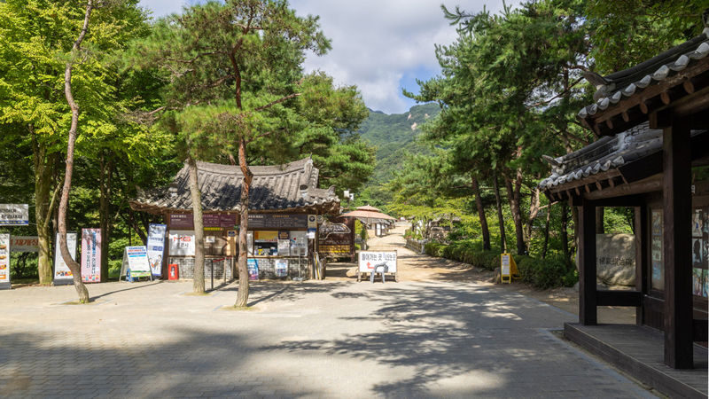 Mungyeong K-Drama & Film Tour-The King and the Clown&Queen of Tears - The rail bike turns the countryside into an activity