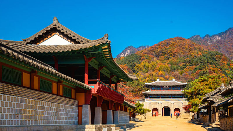 Mungyeong K-Drama & Film Tour-The King and the Clown&Queen of Tears - Practical details that can make or break the day