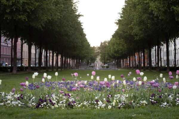 Munich: 3-Hour Food Tour Through Haidhausen in GERMAN - Booking Details