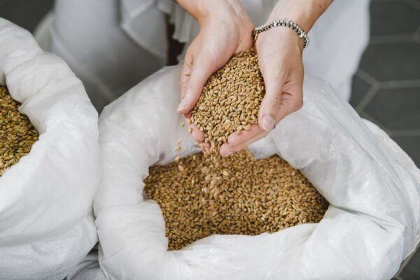 Munich: Beer Brewing Course With Tour and Tasting - Learning About the Brewing Process
