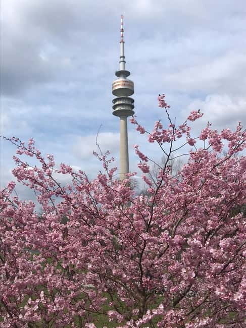 Munich: Bulli Tour - Good To Know