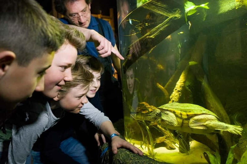 Munich: Day Ticket to Sea Life - Good To Know
