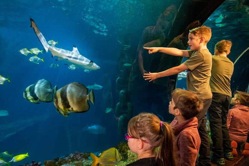 Munich: Day Ticket to Sea Life - Who Will Enjoy This Experience?