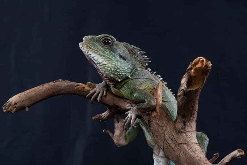 Munich: Day Ticket to Sea Life - The Sum Up