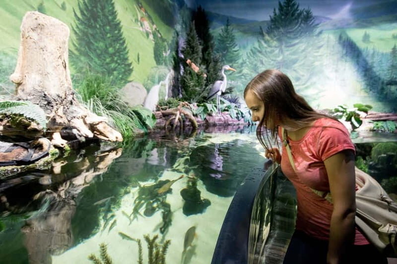 Munich: Day Ticket to Sea Life - FAQ