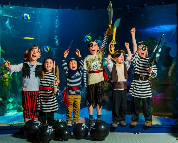 Munich: Day Ticket to Sea Life - Experience Highlights