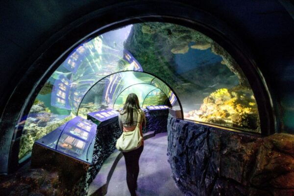 Munich: Day Ticket to Sea Life - Free Cancellation