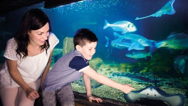 Munich: Day Ticket to Sea Life - Flexible Travel Plans
