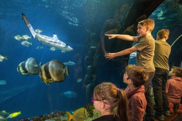 Munich: Day Ticket to Sea Life - Engaging Feeding Shows
