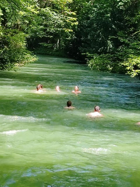 Munich: Mini Classic Bike Tour with Beer Garden Stop at 4 PM - The Guide & Group Experience