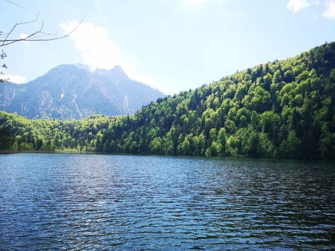 Munich: Neuschwanstein Castle by Bus With Alpine Bike Ride - Included Amenities