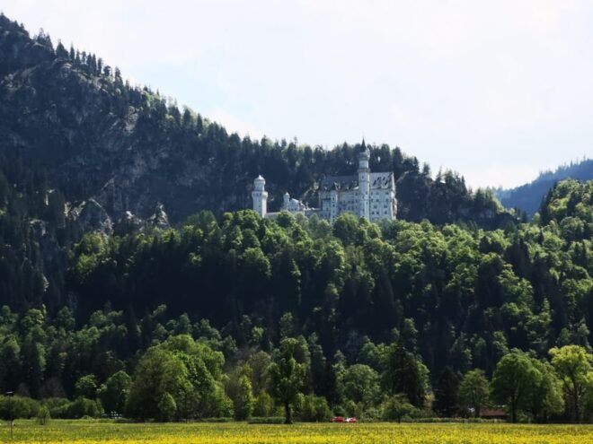 Munich: Neuschwanstein Castle by Bus With Alpine Bike Ride - Highlights of the Tour