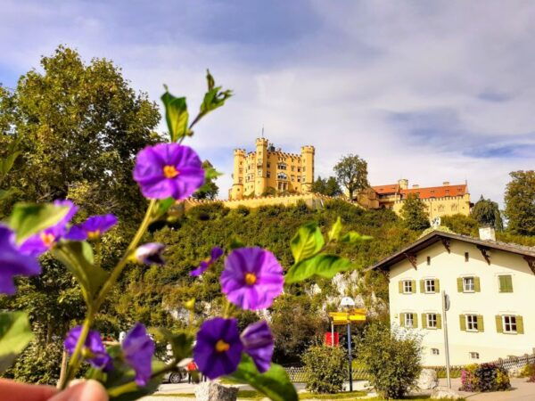 Munich: Neuschwanstein Private Guided Tour Packages - Similar Tour Options in the Munich Area