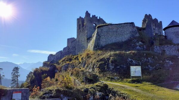 Munich: Neuschwanstein Private Guided Tour Packages - Private Tour Options and Other Day Trip Alternatives