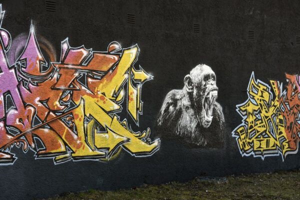 Munich: Street Art Bike Tour - Customer Reviews and Feedback