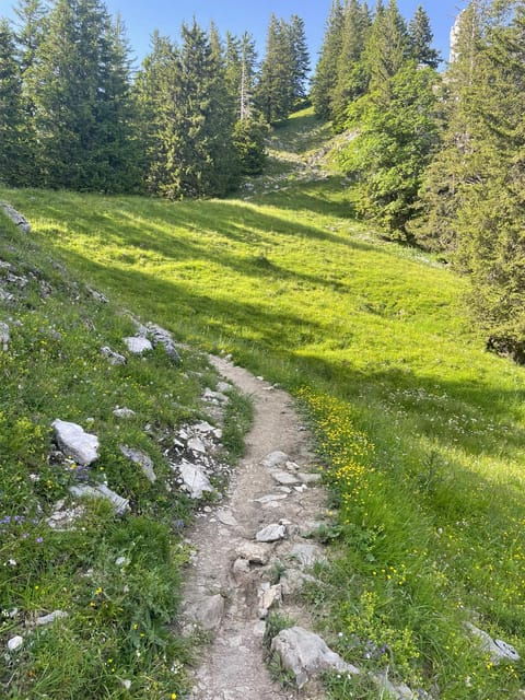 Munich Surrounding: Private E-Mtb-Tour River Mountain Lake - Participant Requirements