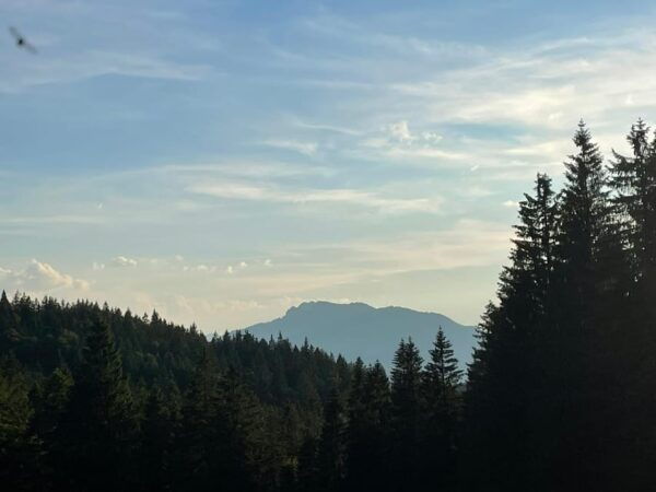 Munich Surrounding: Private E-Mtb-Tour River Mountain Lake - Tour Variations
