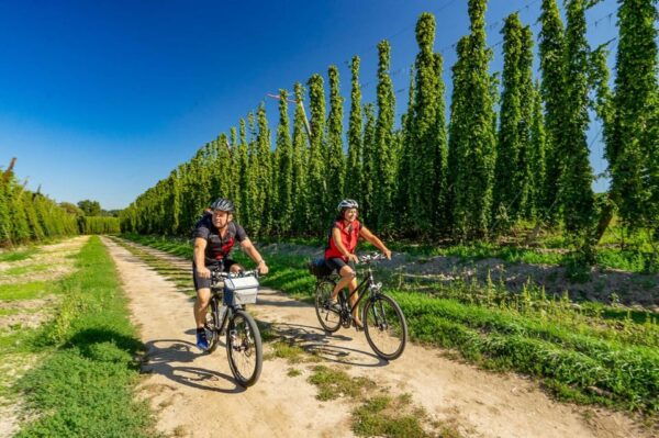 Munich: the Most Beautiful of the Danube and Altmühl - Booking and Cancellation Policies