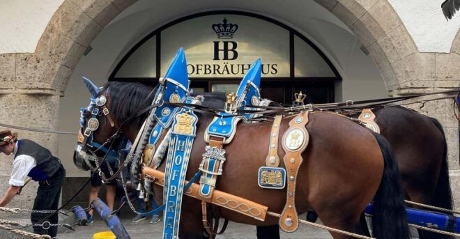 Munich: Walking Tour Highlights of the Old Town in English - Important Information