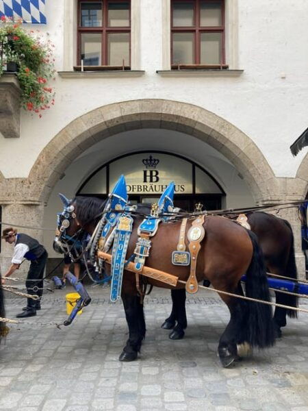 Munich: Walking Tour Highlights of the Old Town in English - Starting Location