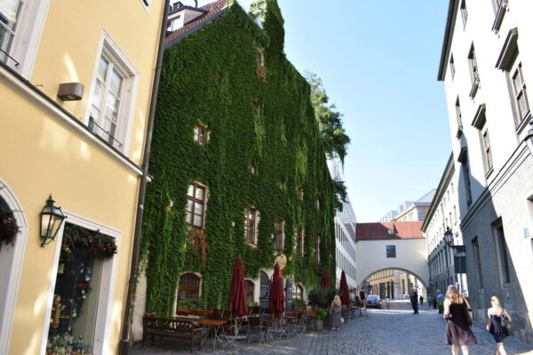 Munich: Walking Tour Highlights of the Old Town in English - Key Stops