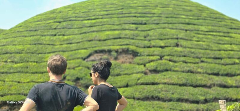 Munnar: Anakulam Jeep Safari to Explore Wild Elephants - The Detailed Itinerary Breakdown