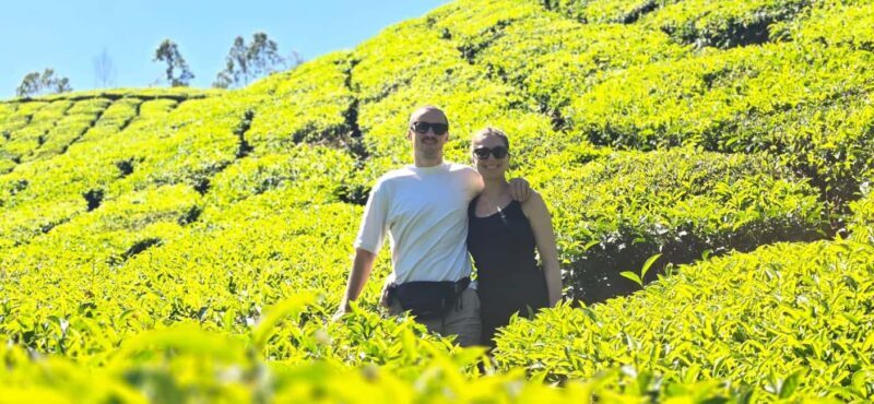 Munnar: Anakulam Jeep Safari to Explore Wild Elephants - Who Will Love This Experience?