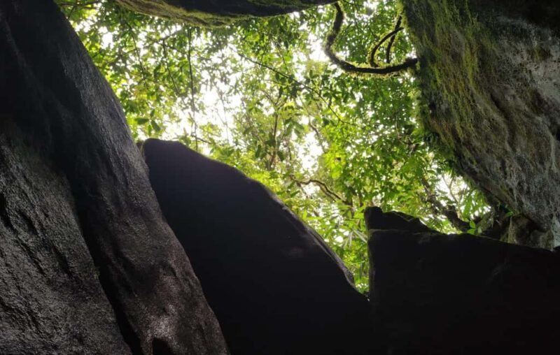 Munnar: Anakulam Jeep Safari to Explore Wild Elephants - Munnar: Anakulam Jeep Safari to Explore Wild Elephants