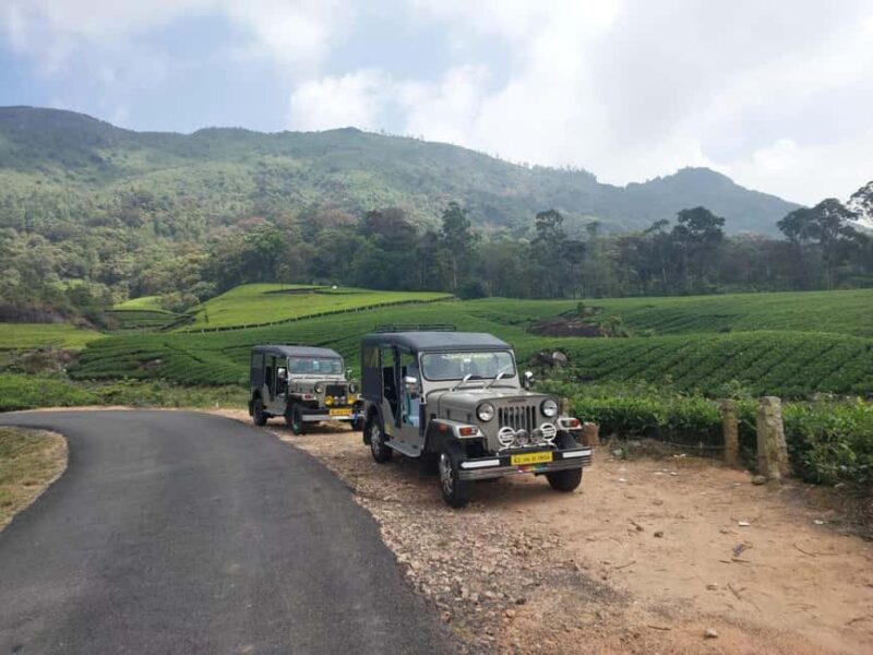 Munnar: Anakulam Jeep Safari with Waterfall and Elephant - An In-Depth Look at the Jeep Safari Experience