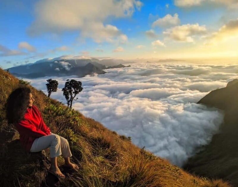 Munnar: Chokramudi Peak Full-Day Trekking Tour - Munnar: Chokramudi Peak Full-Day Trekking Tour