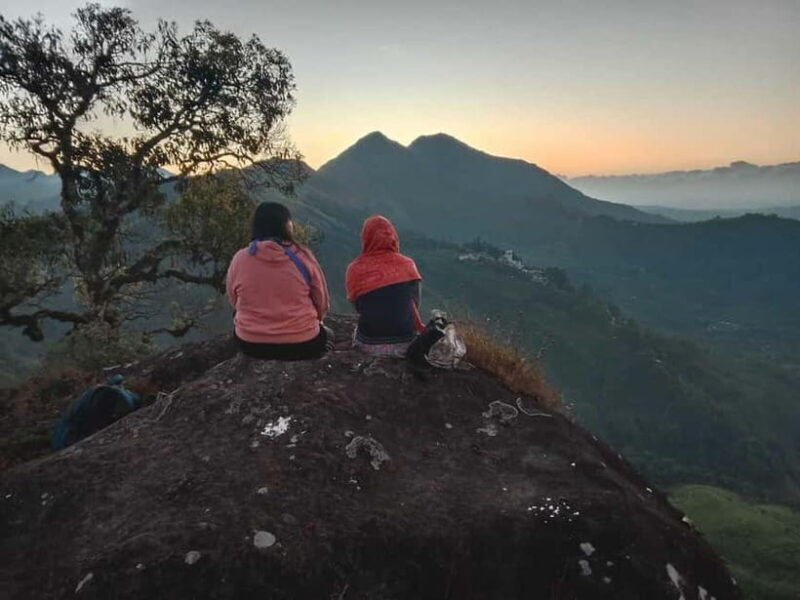Munnar: Half day Guided Trek - Exploring the Munnar Trek Experience