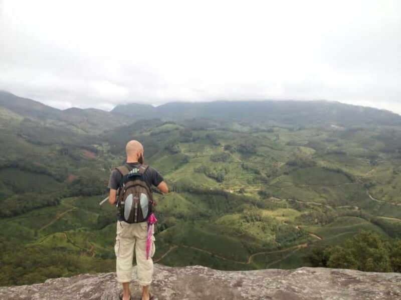 Munnar: Half Day Trekking Through Tea Plantation - The Value Proposition: Is It Worth It?