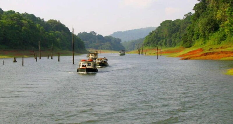 Munnar Hill Station with Periyar Wildlife Tour (03 Days) - Who Is This Tour Best For?