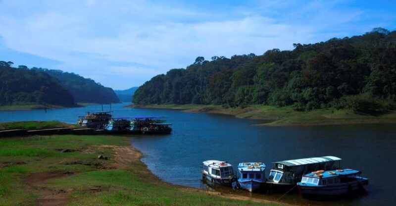 Munnar Hill Station with Periyar Wildlife Tour (03 Days) - The Sum Up: Is It Worth It?