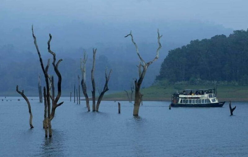 Munnar Hill Station with Periyar Wildlife Tour (03 Days) - FAQ