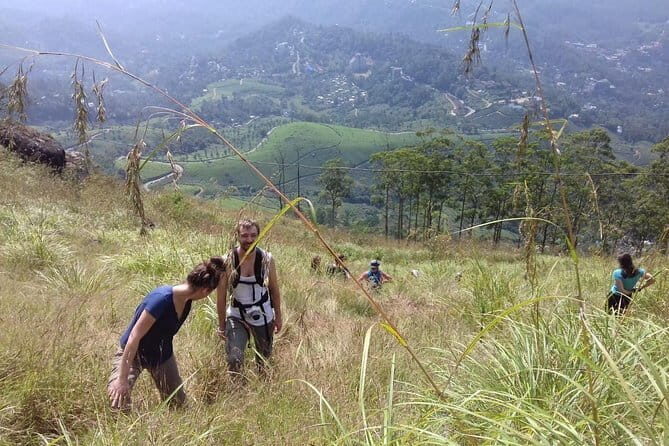 Munnar historical trail- (walk into Tea garden, village & market) - Good To Know