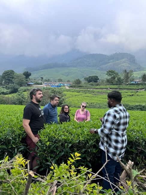 Munnar: Kolukkumalai Tea Plantation Jeep Tour - A quick intro