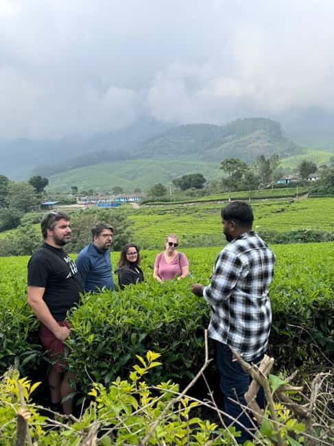 Munnar: Kolukkumalai Tea Plantation Jeep Tour - Who should consider this experience?