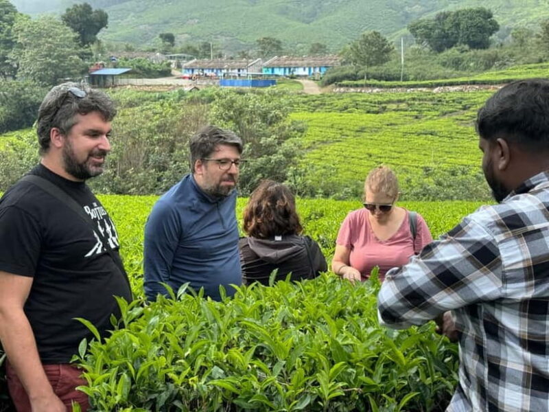 Munnar: Kolukkumalai Tea Plantation Jeep Tour - Exploring the itinerary in detail