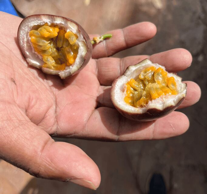 Munnar Letchmi Hills village Tour - Value and Suitability