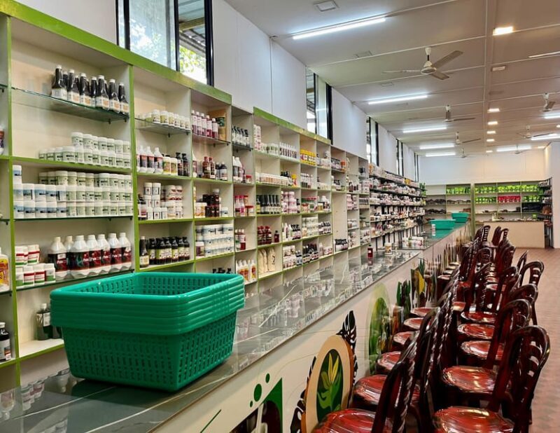 Munnar Local Sightseeing (Adventure Spots) - Good To Know