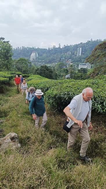 Munnar Nature Walk - Final Thoughts