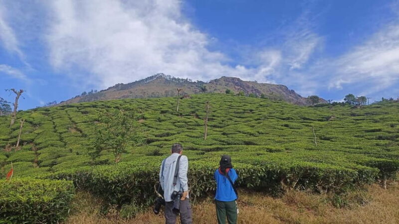 Munnar Nature Walk - Experience the Charm of the Munnar Nature Walk