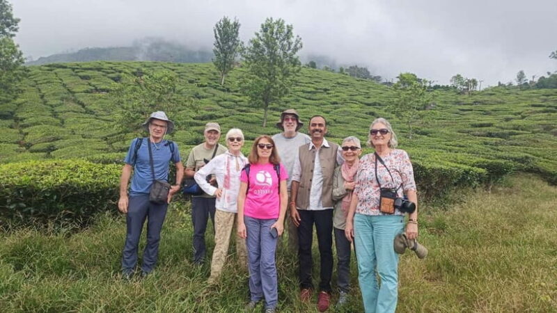 Munnar Nature Walk - Good To Know