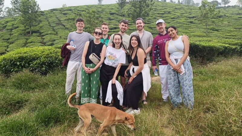 Munnar Nature Walk - Who Is This Tour Best Suited For?