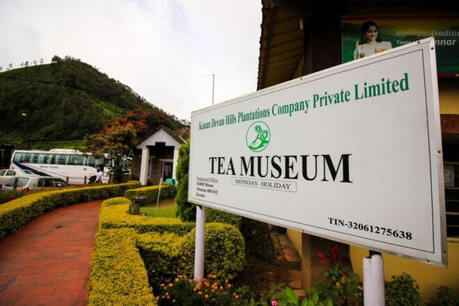 Munnar Private Day Trip - Pickup Included