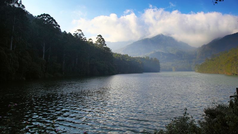 Munnar Private Day Trip From Kochi - What you get for the price