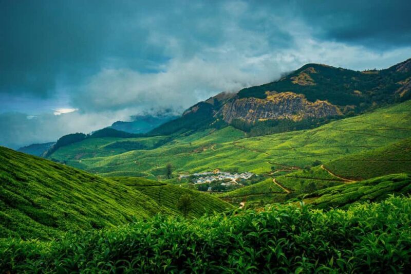 Munnar : Private One Day Tour from Kochi. Free Pickup-Drop - Final Thoughts on the Tour’s Value