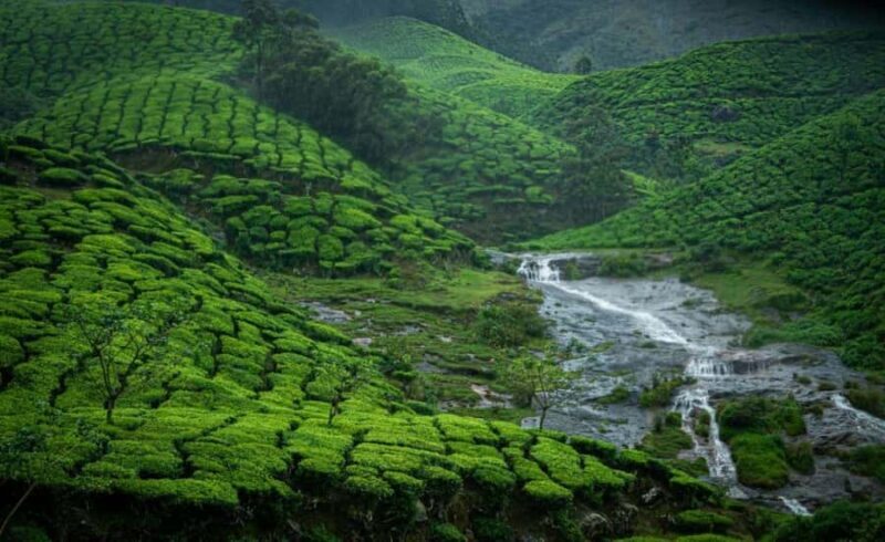 Munnar Same Day Tour: Lakes, Viewpoints & Tea Gardens - Deep Dive into Each Stop