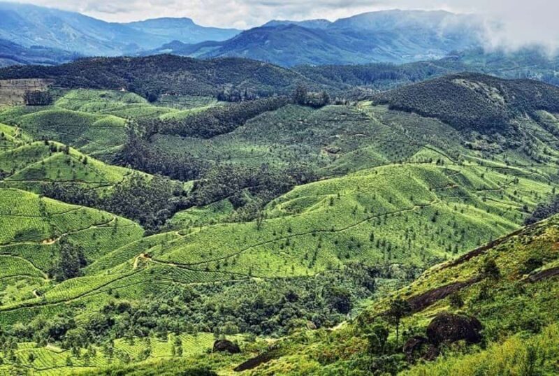 Munnar Same Day Tour: Lakes, Viewpoints & Tea Gardens - Exploring Munnar’s Natural and Cultural Allure